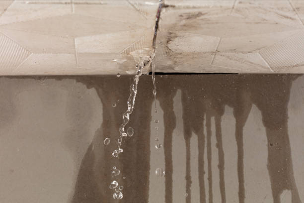 Professional Burst Pipe Cleanup technician working in Sand Creek, MI